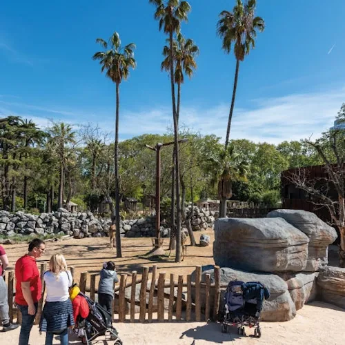 Visitors walking along a palm-lined path at Barcelona Zoo